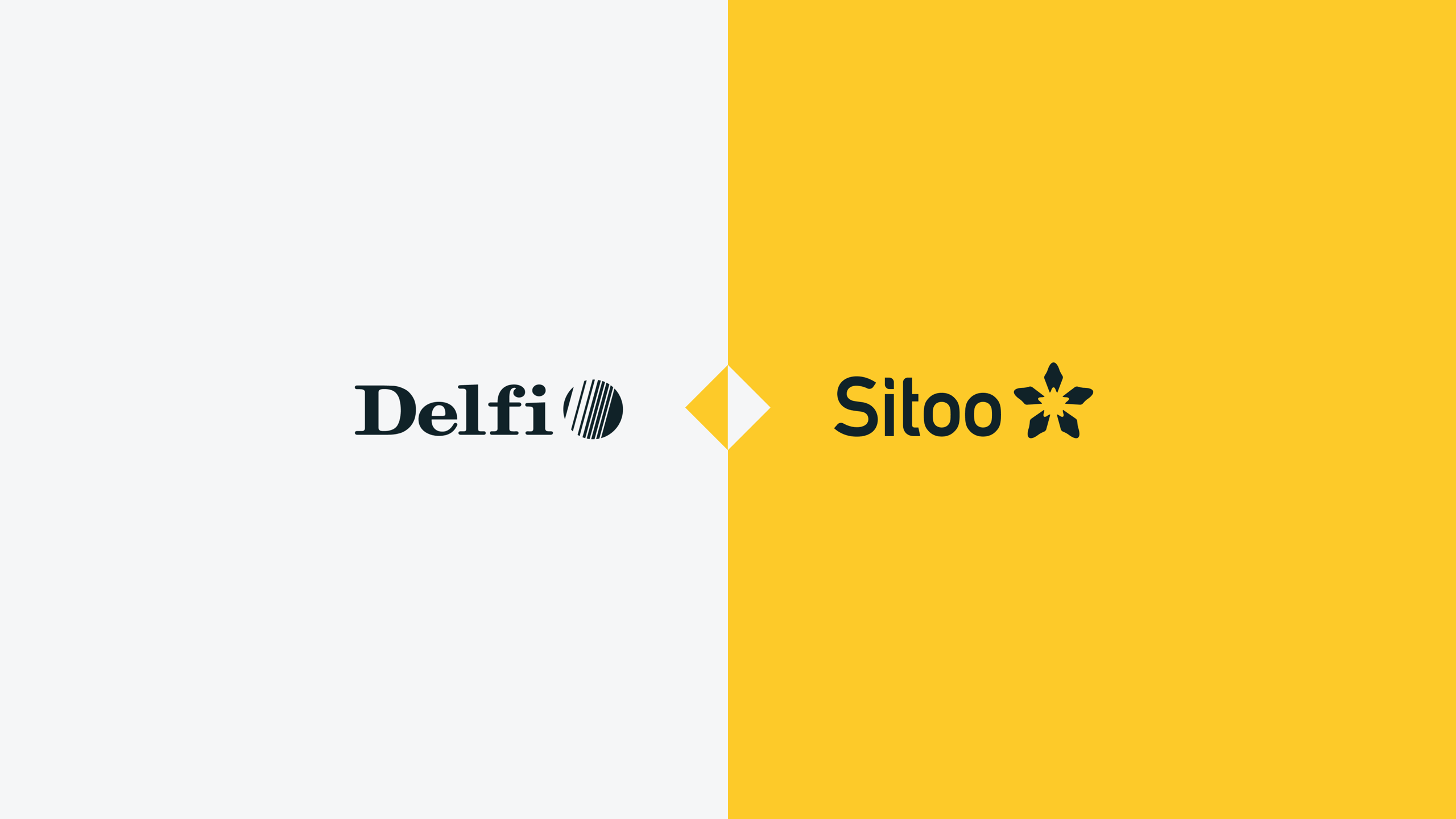 Sitoo_2026_delfi_partners_hero_L
