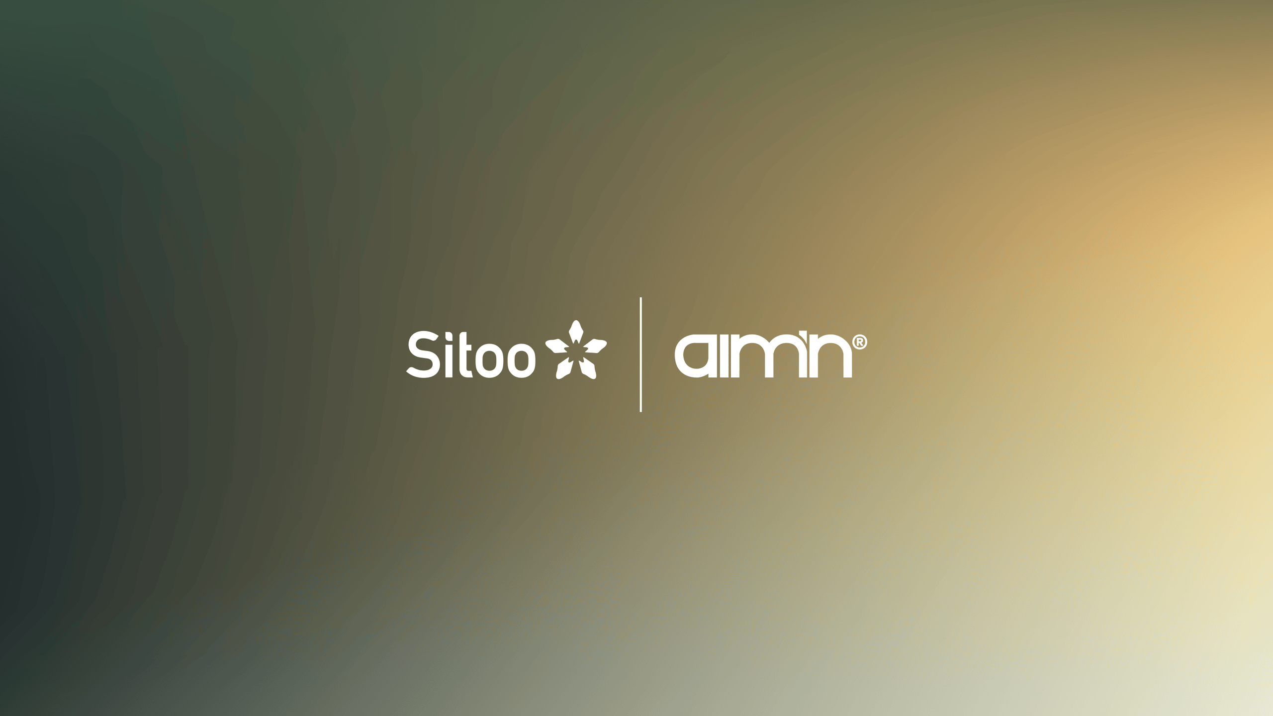 sitoo_2025_customer_announcement_aimn_news_hero_L
