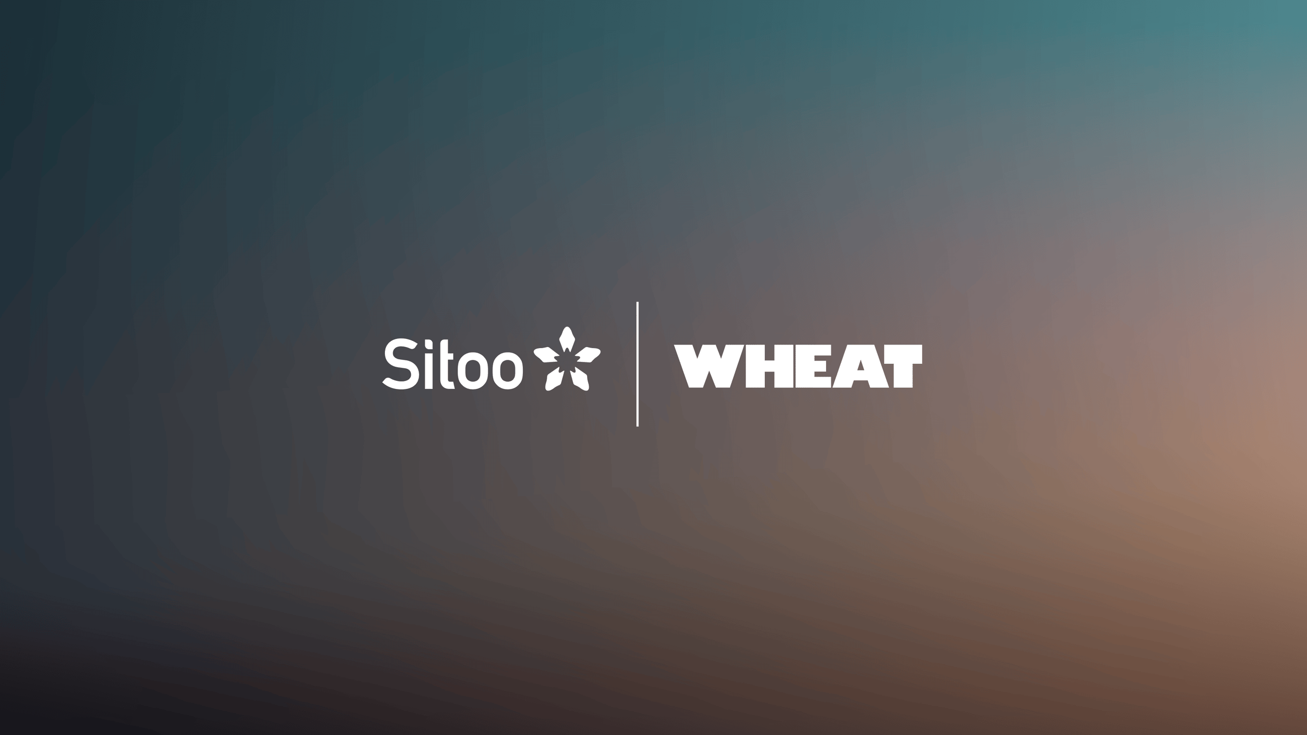 Sitoo_2026_customer_announcement_wheat_news_hero_L