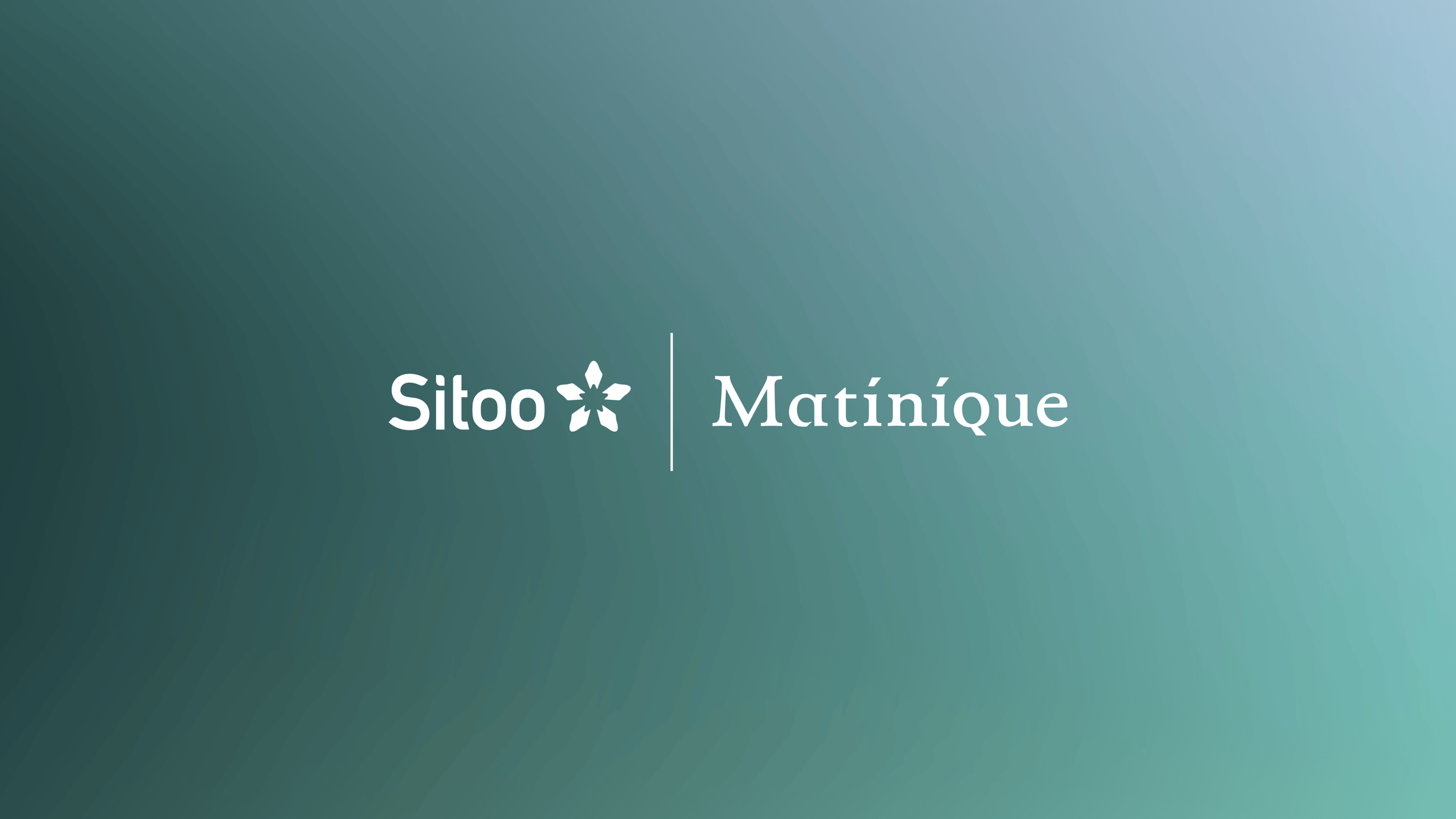 Sitoo_2026_matinique_news_hero_L