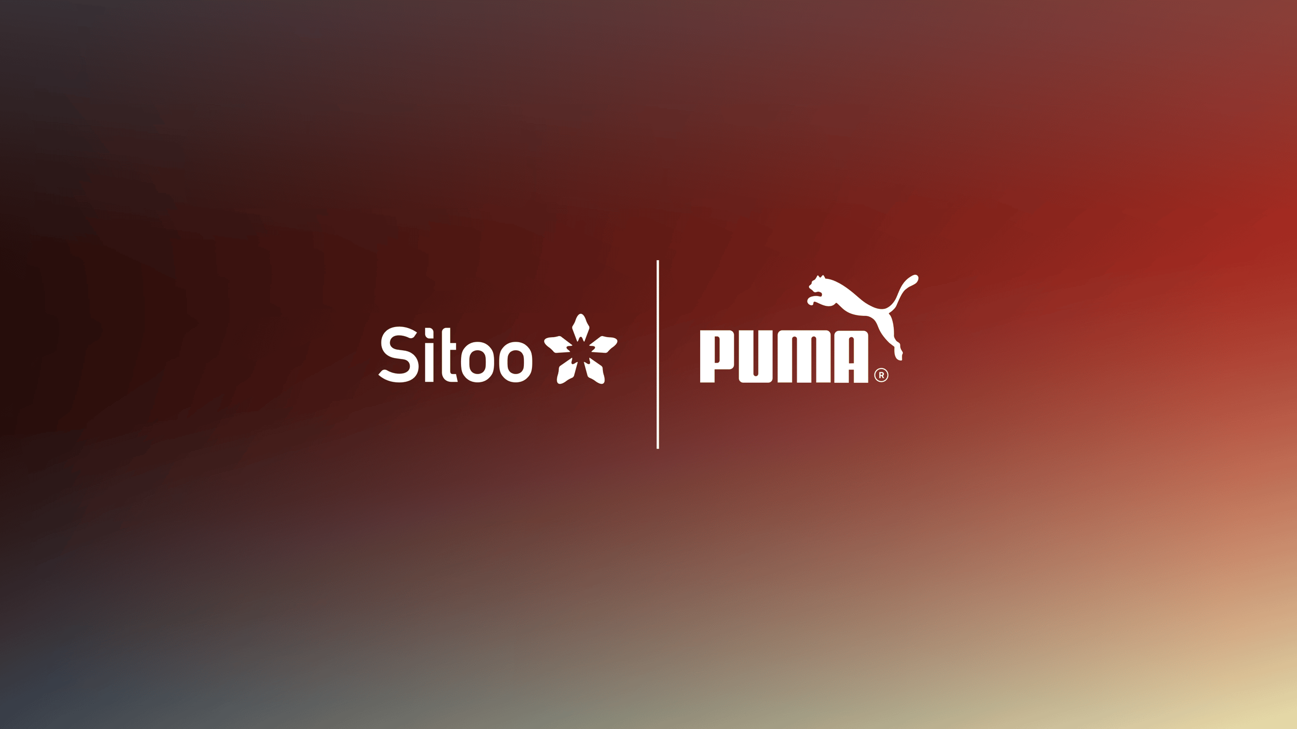 sitoo_2024_puma_news_hero_l